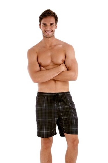 Speedo Шорты пляжные мужские Check Leisure 18