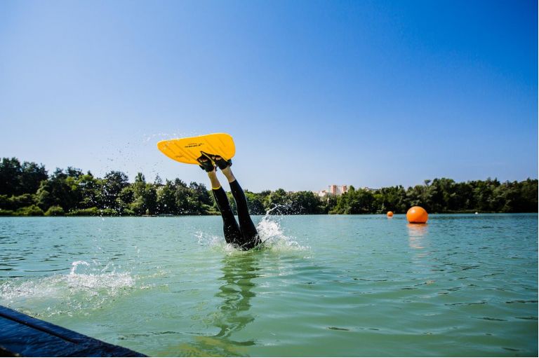 Моноласта finis
