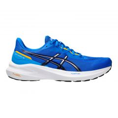 Кроссовки мужские Asics GT 1000 13