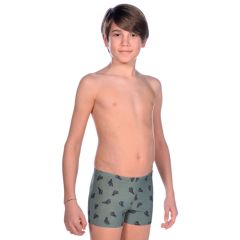 Плавки детские Arena Cactus Short Junior