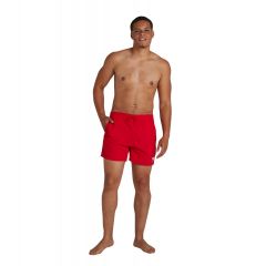 Шорты мужские плавательные Speedo Essentials 16" Watershort