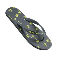 Сланцы мужские Arena Beach Flip Flop