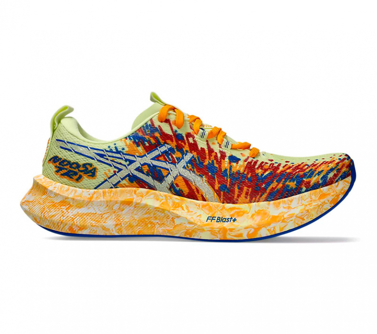 Кроссовки мужские Asics Noosa Tri 16 