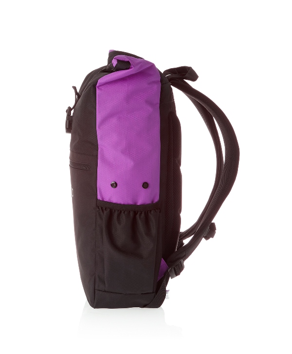 speedo rucksack iii